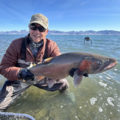 Lahontan Cutthroat — 